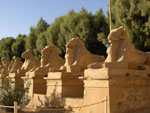 Egypt Christianity Tour- Egypt Travel Packages